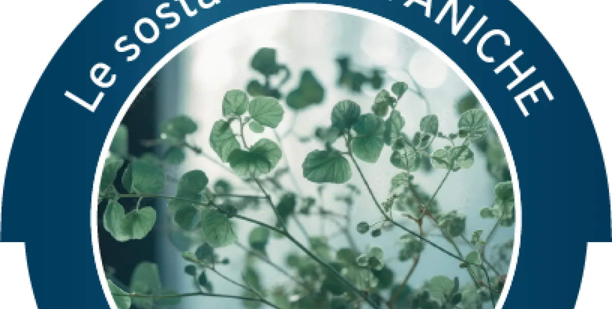 Gli ingredienti della nostra forza