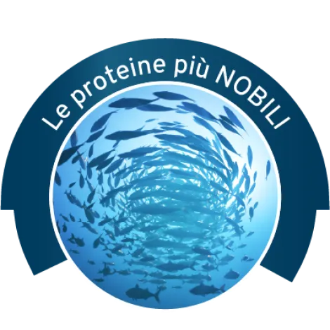 Immagine per il brand forza 10 dei prodotti in vendita da Armani PetShop a Caprino Veronese