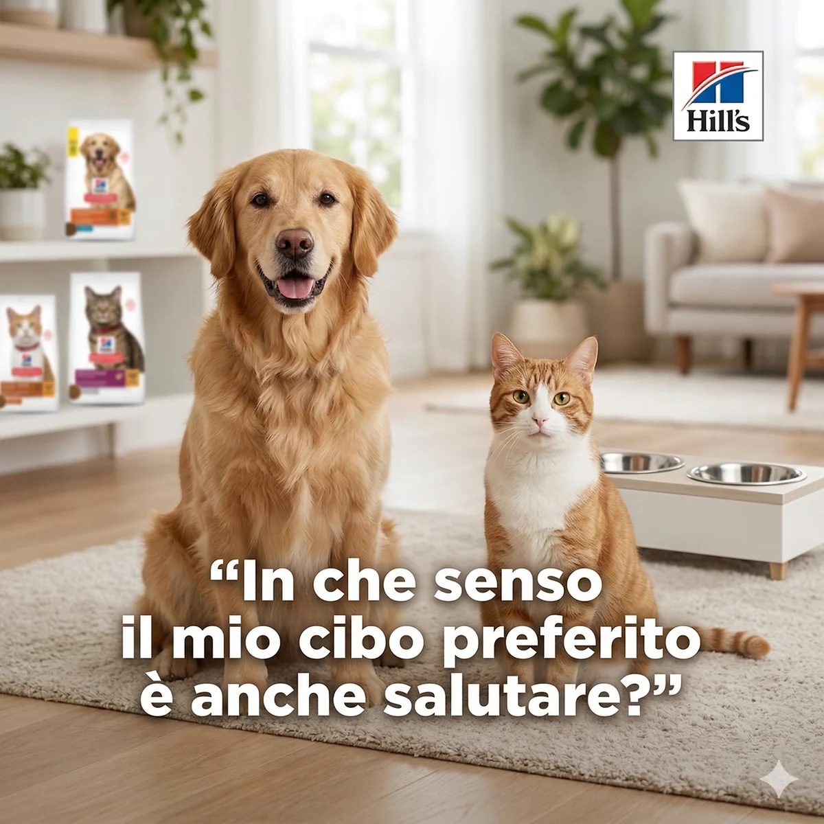 Alimenti per cani e gatti | Qualità e Benessere
