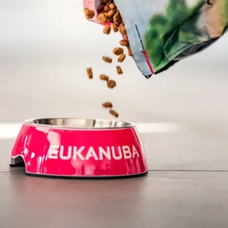 Seconda immagine per il brand eukanuba dei prodotti in vendita da Armani PetShop a Caprino Veronese