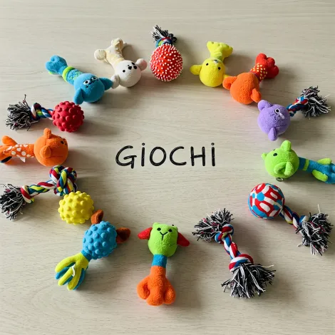 Immagine per la gruppo giochi dei prodotti in vendita da Armani PetShop a Caprino Veronese