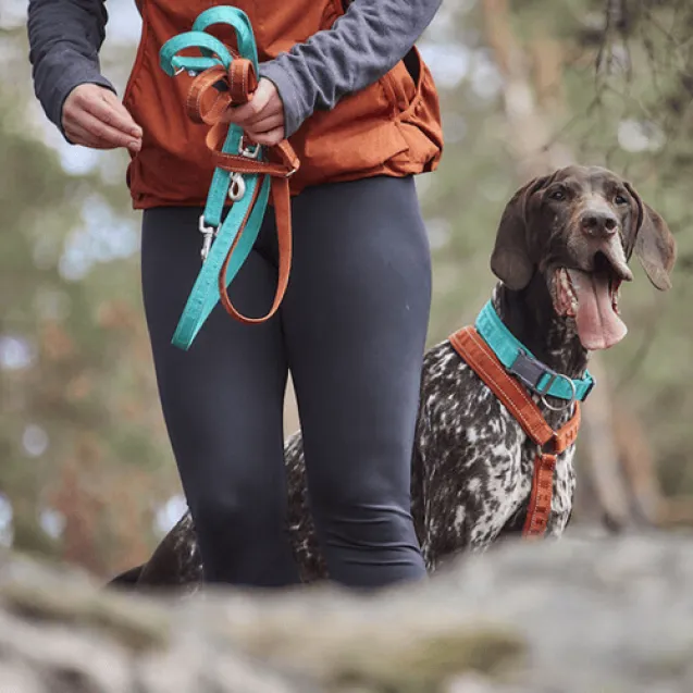 hurtta guinzaglio casual eco peacock - Altra Vista Secondaria