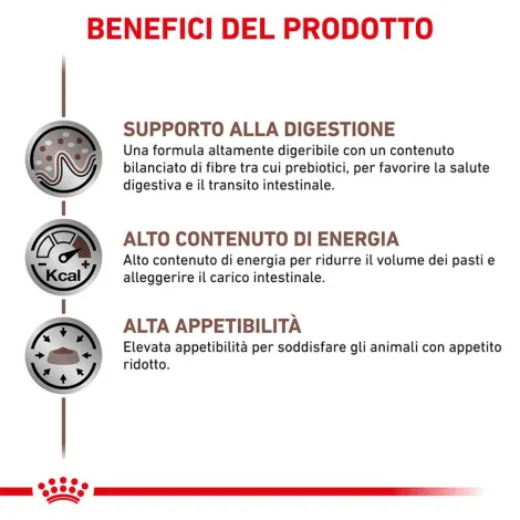 royal canin gastrointestinal