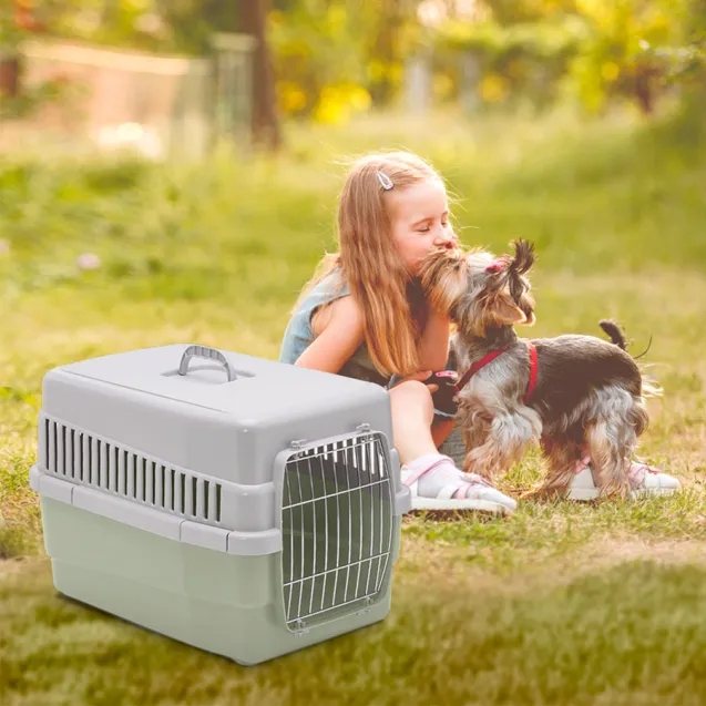 imac carry 60 - Altra Vista Secondaria