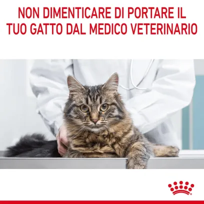royal canin hair and skin care