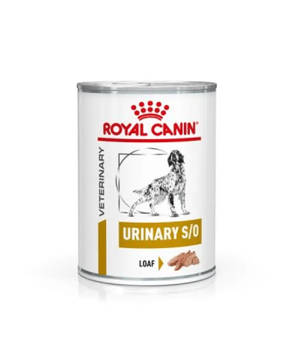 royal canin urinary s-o canine