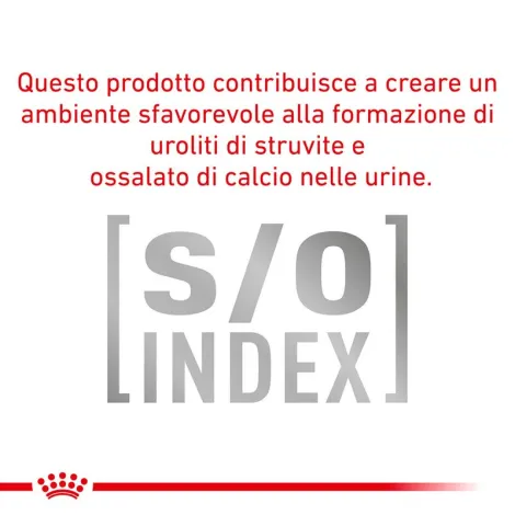 royal canin urinary s-o canine