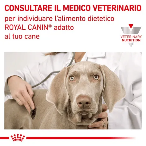 royal canin canine hepatic v-diet