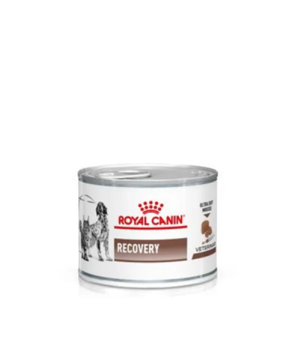 royal canin recovery veterinary mousse cane e gatto