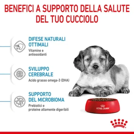 royal canin medium puppy 10 kg
