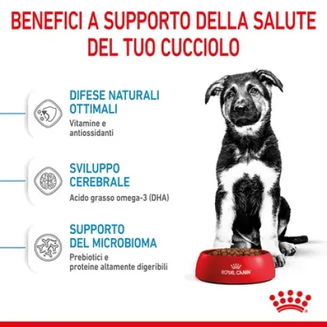 royal canin maxi puppy 10 kg