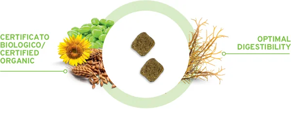 All Size Adult - 100 percento Vegetal - 10 kg - Altra Vista Secondaria