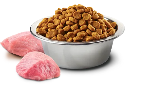 ND Pumpkin canine Lamb & Blueberry Adult Medium & Maxi 12kg - Altra Vista Secondaria