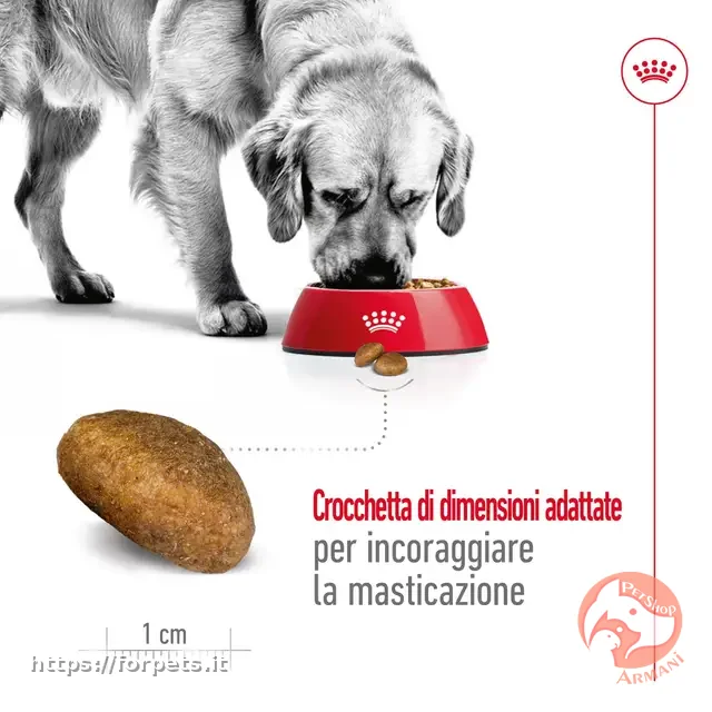 Royal Canin maxi adult 12kg - Vista Principale 2