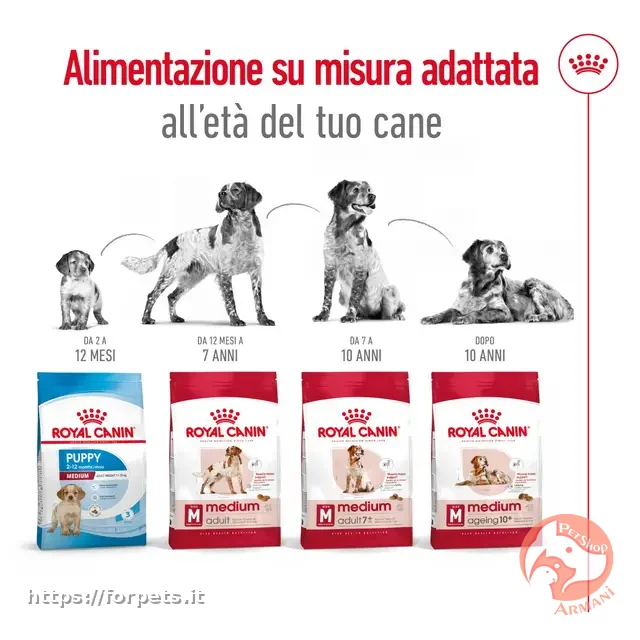 Royal Canin medium adult 12 kg - Vista Principale 2
