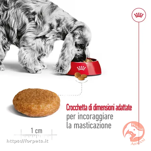 Royal Canin medium adult 12 kg - Altra Vista Secondaria