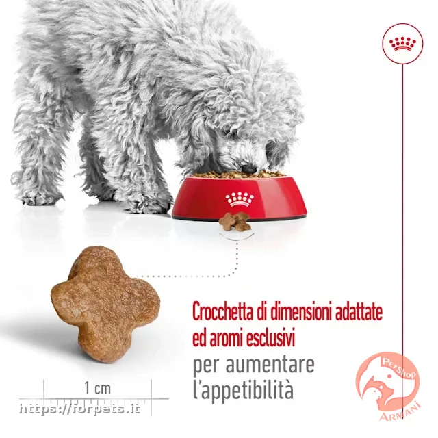 Royal Canin Mini Adult 8+ da 2 kg - Altra Vista Secondaria