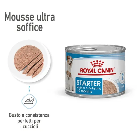 royal canin starter mother & baby dog