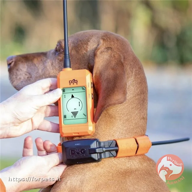 DOG TRACE GPS X20+ DOGTRACE - Vista Principale 2