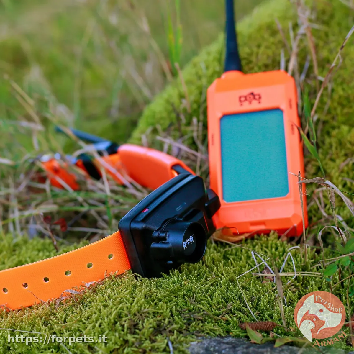Dog Trace GPS X25B DOGTRACE (con beeper anche sul collare) - Altra Vista Secondaria