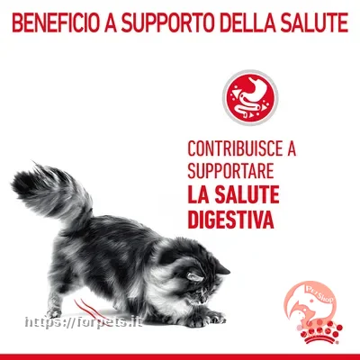 Royal Canin Digestive Care Crocchette per gatto 10kg - Altra Vista Secondaria