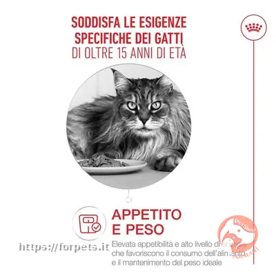Royal Canin Ageing 15 per gatto sacco da 2kg - Altra Vista Secondaria