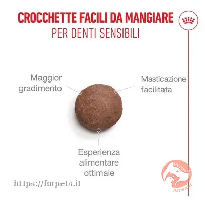 Royal Canin Ageing 15 per gatto sacco da 2kg - Vista Secondaria