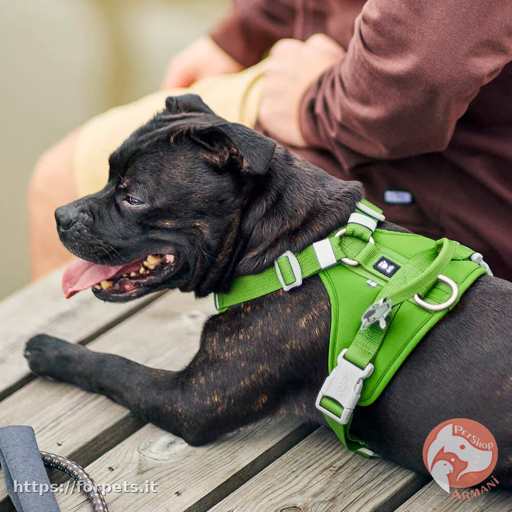 Pettorina hurtta weekend warrior eco 65-80cm parsley - Altra Vista Secondaria