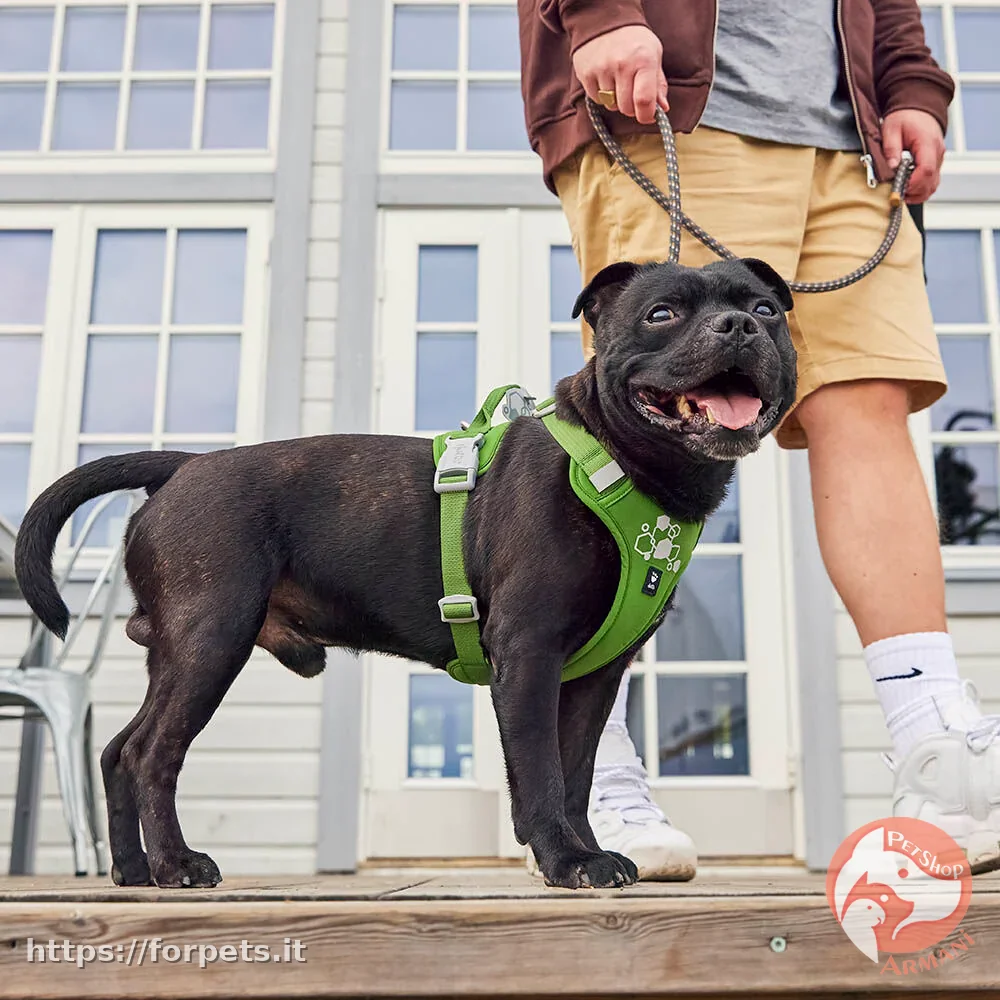 pettorina hurtta weeken warrior 40-50cm parsley - Altra Vista Secondaria