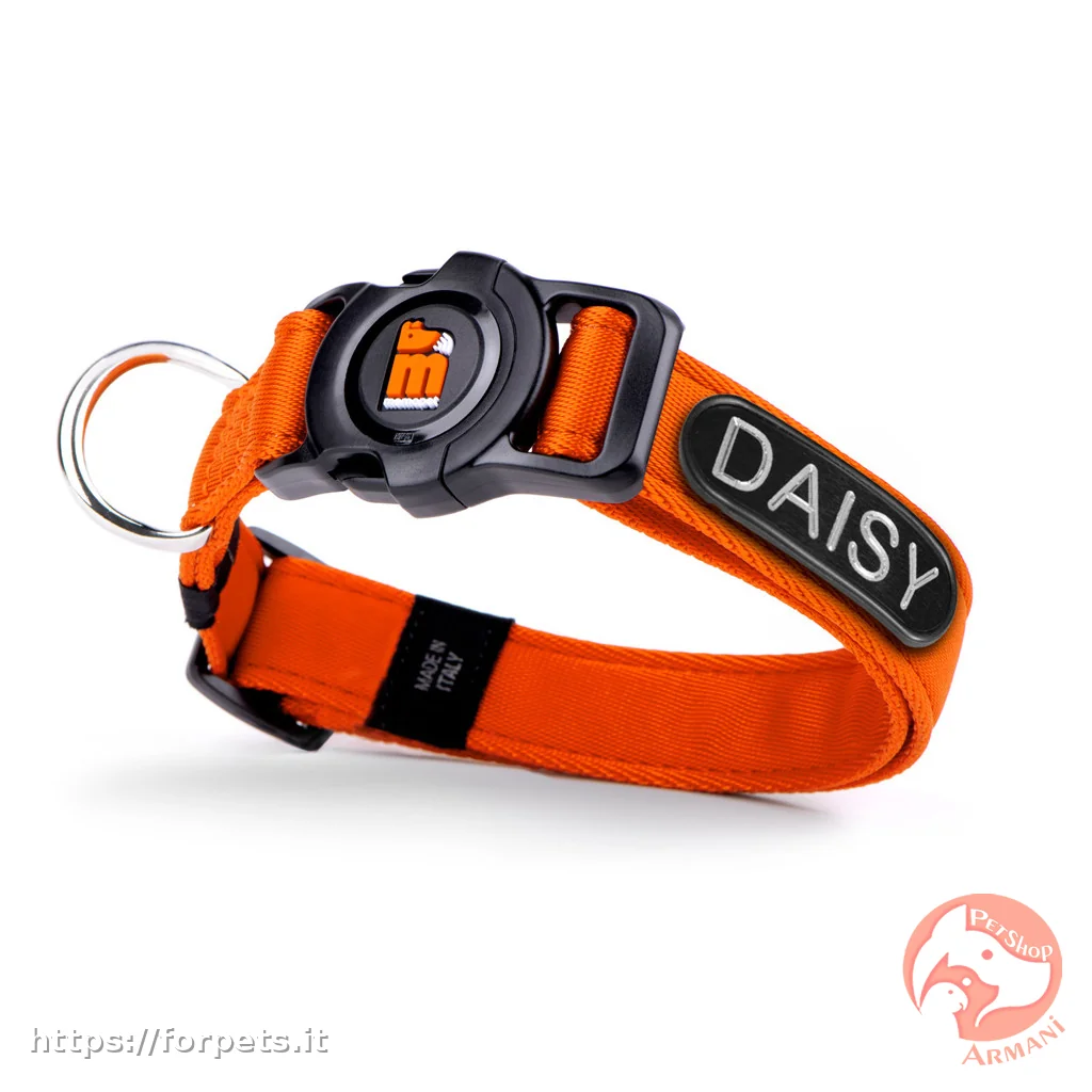 Immagine di anteprima del prodotto dal titolo: Myfamily Collare memopet ID Arancione Personalizzabile XS