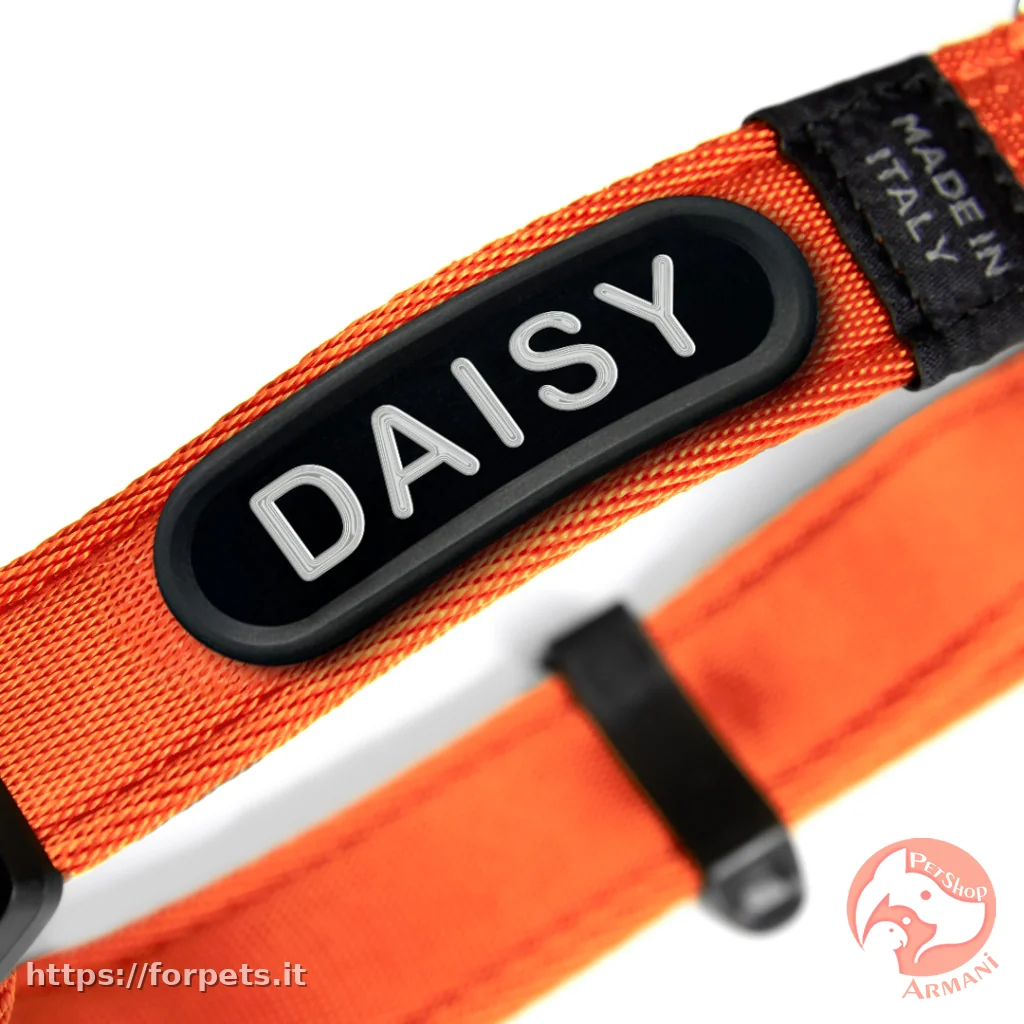 Myfamily Collare memopet ID Arancione Personalizzabile XS - Altra Vista Secondaria