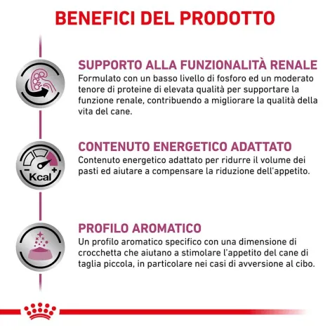 royal canin renal small canine v-diet