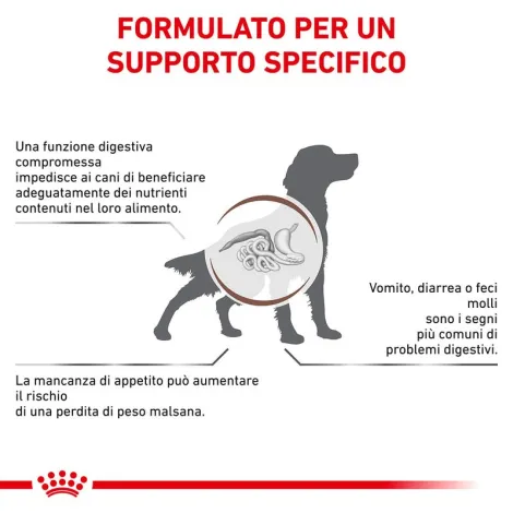 royal canin gastrointestinal canine v-diet