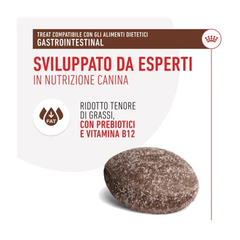 royal canin treats gastrointestinal snack cane