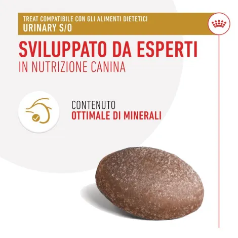 royal canin treats urinary snack cane