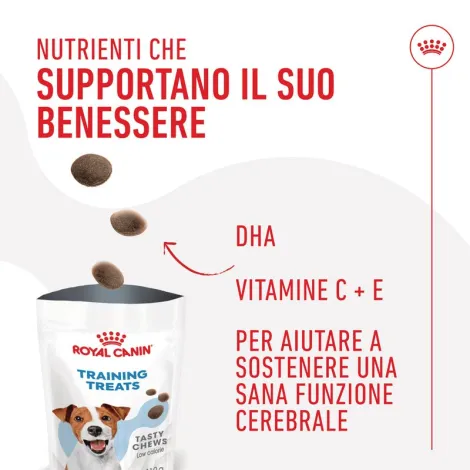 royal canin training treats snack cane